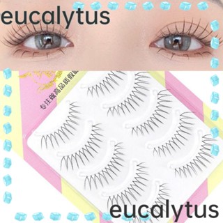 Eucalytus1 ขนตาปลอม รูปตัว V ยาว 0.14 มม. แบบใส สําหรับผู้หญิง