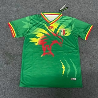 เสื้อกีฬาแขนสั้น ลายทีมชาติฟุตบอล Africa Cup of Nations Mali Green Eagles Jersey ไซซ์ S - XXL แห้งเร็ว สําหรับผู้ชาย ไซซ์ 23-24