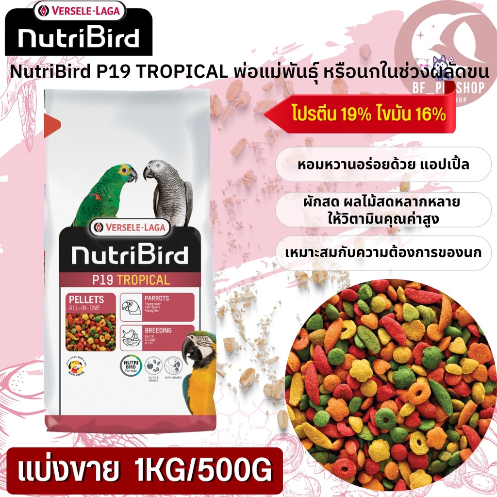 NutriBird P19 Tropical อาหารสำเร็จรูปอัดเม็ดสำหรับนกขนาดใหญ่ อาหารมื้อโปรดที่ดีต่อสุขภาพ (แบ่งขาย 50