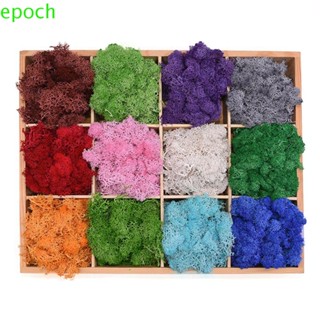 Epoch มอสเทียม DIY พืชสีเขียว ภูมิทัศน์ขนาดเล็ก ดอกไม้ปลอม เครื่องประดับบ้าน พืชประดิษฐ์