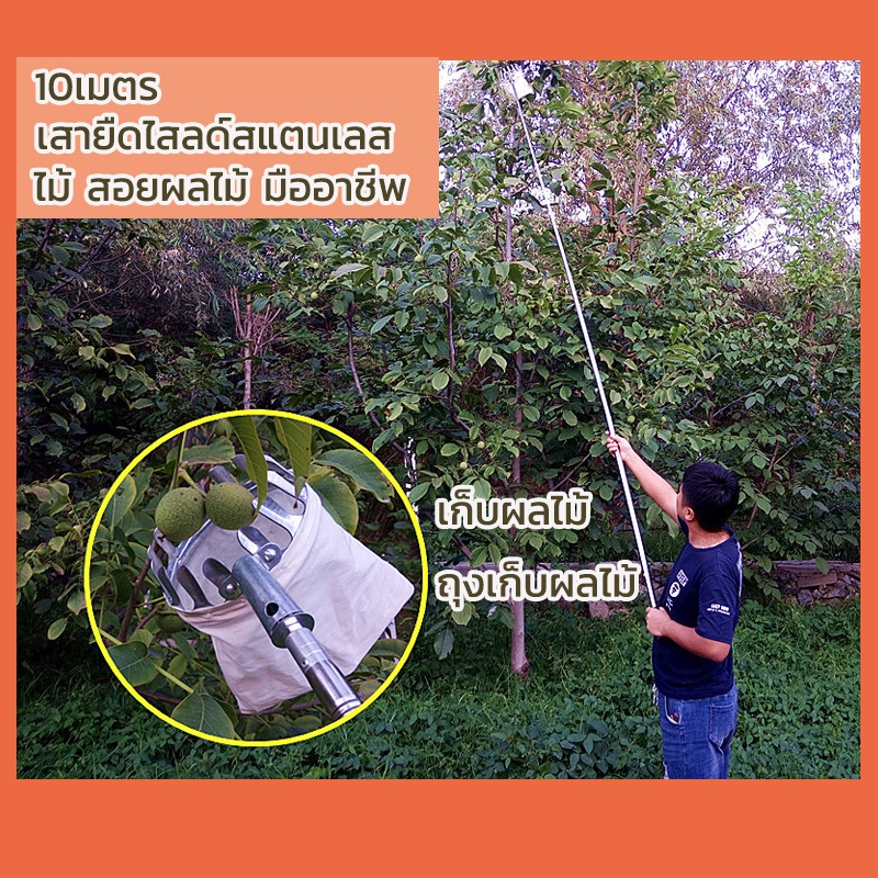 10เมตร* ไม้ สอยผลไม้ มืออาชีพ ใช้วัสดุสแตนเลสคุณภาพสูง ความยาวของเสา พับเก็บได้อย่างอิสระ