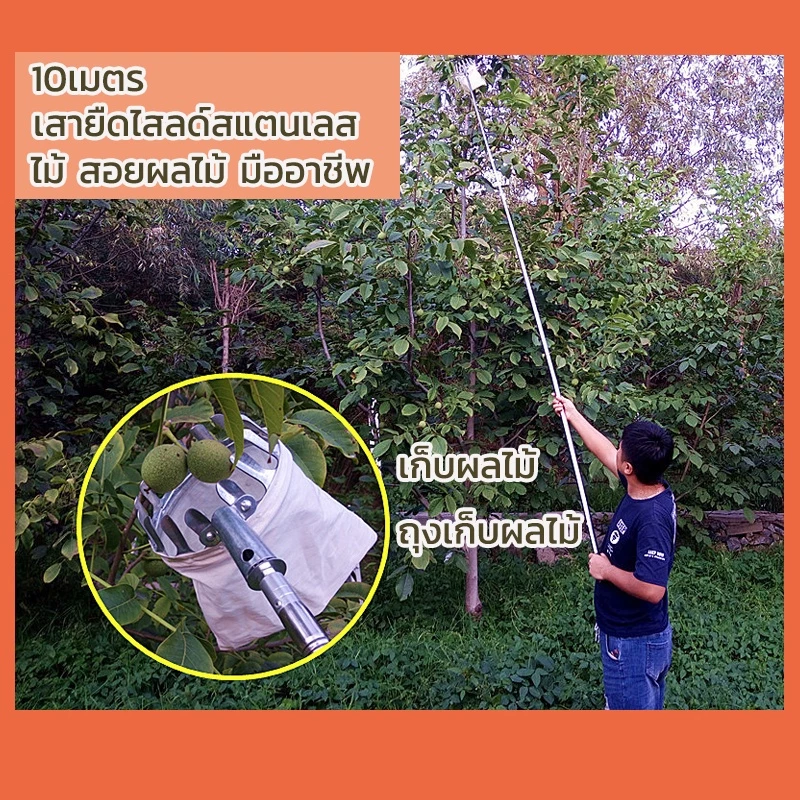 10เมตร* ไม้ สอยผลไม้ มืออาชีพ ใช้วัสดุสแตนเลสคุณภาพสูง ความยาวของเสา พับเก็บได้อย่างอิสระ