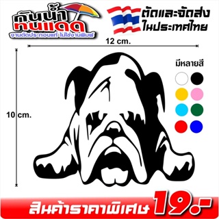 สติ๊กเกอร์ น้องหมา ลายบูลด็อก น้องหมาน่ารัก หัส DOG-9568 งานตัดประกอบ ไม่ใช่งานพิมพ์ ขนาด 10x12ซ.ม.