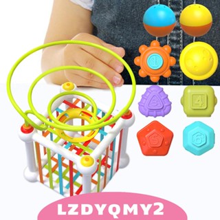 [Lzdyqmy2] เกมลูกบอล สําหรับการประสานงานจินตนาการ