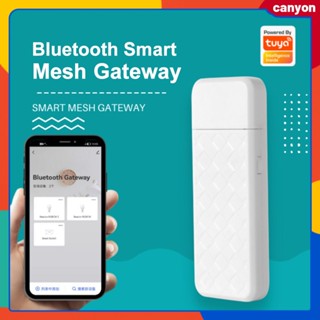 Tuya Smart Usb เกตเวย์ไร้สาย Bluetooth Smart Mesh Gateway Tuya/smart Life App Remote Control รองรับอุปกรณ์ย่อยหลายตัวในหุบเขาลึก