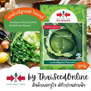 ตราศรแดง EWCOM เมล็ดพันธุ์ กะหล่ำปลีไจแอนท์ 50กรัม ตราศรแดง
