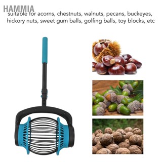 HAMMIA Nut Gatherer อลูมิเนียมอัลลอยด์ 15.7 ถึง 39.4in Retractable Pole Soft Handle Pine Cone Picker สำหรับ Golfing Garden Orchard