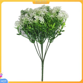 {Bakilili} ดอกยิปโซประดิษฐ์ พลาสติก สําหรับตกแต่งบ้าน 1 ชิ้น
