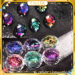 พร้อมส่ง Stcok Nail Art Chameleon Nail Glitter Sequins With Brush Laser Aurora Irregular Symphony Glitter Nail Decoration Manicure Tool For Nail Shop 6g TALLER