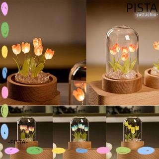 Pista โคมไฟตั้งโต๊ะ รูปดอกทิวลิป แฮนด์เมด คุณภาพสูง ใช้แบตเตอรี่ DIY สําหรับตกแต่งงานแต่งงาน ครบรอบ ข้างเตียง