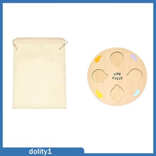 [Dolity1] บอร์ดไม้ปริศนา ทรงกลม สําหรับเด็กวัยหัดเดิน