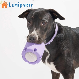 Lumiparty ของเล่นเคี้ยว ทนต่อการสึกหรอ สําหรับสัตว์เลี้ยง สุนัข ขนาดเล็ก กลาง ใหญ่