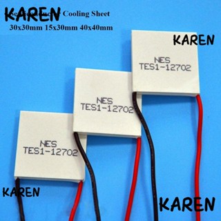 Karen แผ่นทําความเย็น กึ่งตัวนํา คุณภาพสูง 15x30 มม. 30x30 มม. TES1-07102 TEC1-12702 TES1-12704