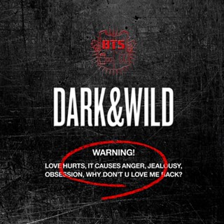 BTS - 1st Full Album [DARK&amp;WILD]