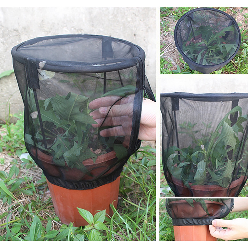 [ซื้อที่นี่] ผ้าคลุมมุ้งคลุมต้นไม้ 35x25 ซม.