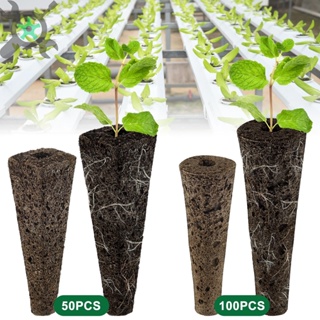 ฟองน้ําปลูกพืช นํากลับมาใช้ใหม่ได้ สําหรับ Hydroponics SHOPCYC8899