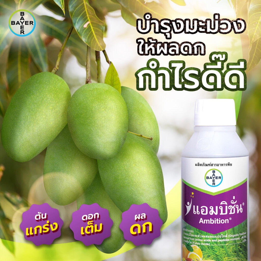 Bayer(ไบเออร์) BAYER แอมบิชั่น ขนาด 1ลิตร กรดอะมิโน และ กรดฟูลวิคเข้มข้น
