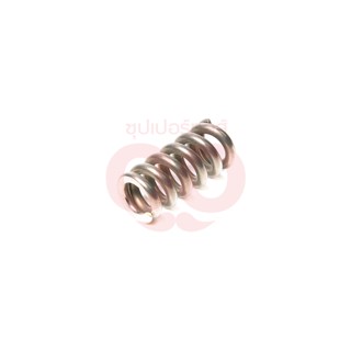 KARCHER (คาร์เชอร์) HELICAL SPRING