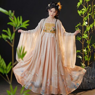 ของแท้ Tang Made Xote Skirt Hanfu เสื้อเชิ้ต แขนยาว ปักลาย ขนาดใหญ่ สําหรับผู้หญิง