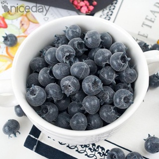 #NICEDAY-Blueberries For Decorating Home Decor Kitchen Display Living Rooms Offices 20pcs