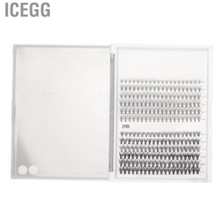 Icegg 240pcs Cluster Eye Lash Faux Extensions Set 12 Rows Varied Lengths Tapered