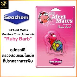 Seachem Lil Ammonia Alert Ruby Barb แผ่นแปะวัดของเสียภายในตู้ แผ่นวัดค่าแอมโมเนีย