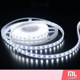 ไฟเส้น ไฟแถบตกแต่งบ้าน LED 6W 5 เมตร ตัดได้ ทุก 10 CM. กันน้ำกันฝุ่น ทนทานต่อแดด แถมฟรี! รางอลูมิเนียม 5 เมตร