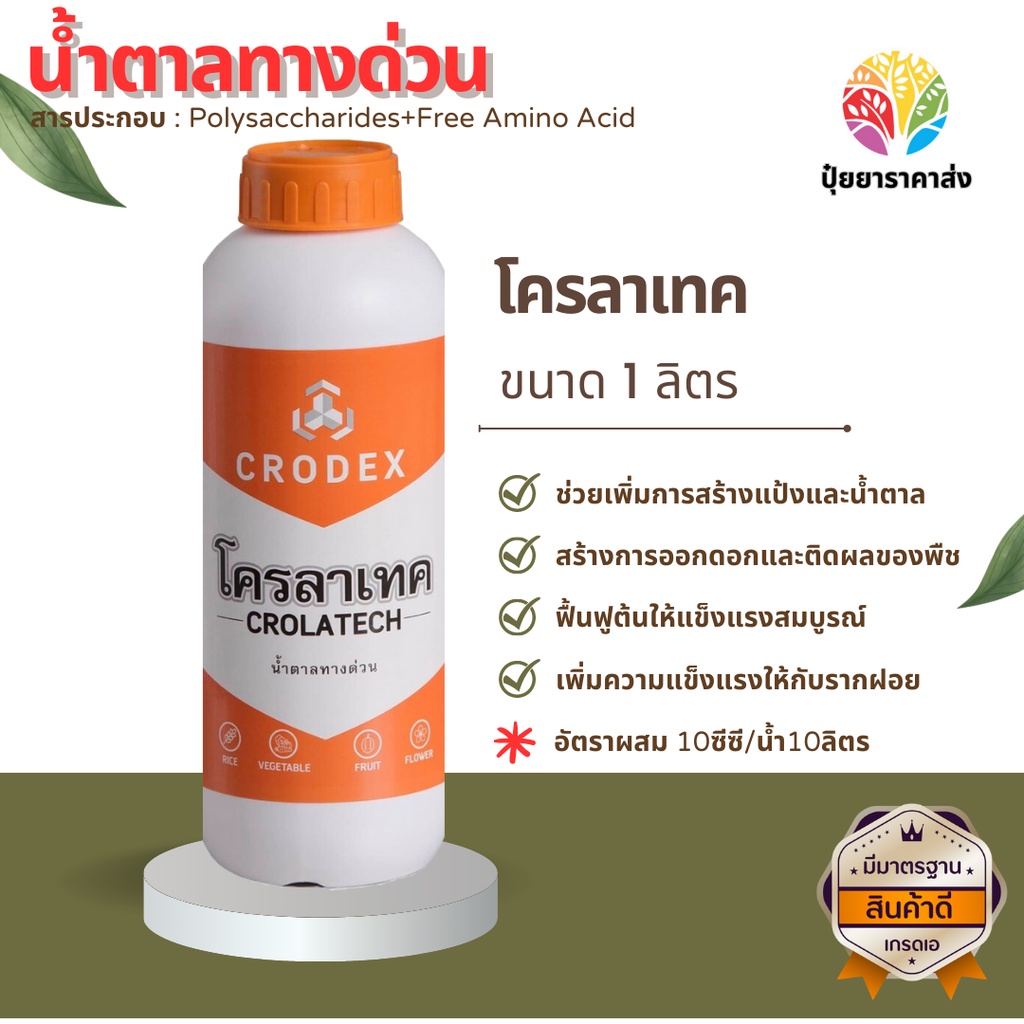 โครลาเทค 1ลิตร น้ำตาลทางด่วน ช่วยเพิ่มการสร้างแป้งและน้ำตาล สร้างการออกดอกติดผล เพิ่มความแข็งแรงให้กับรากฝอย ต้นสมบูรณ์