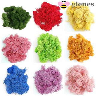 Glenes มอสประดิษฐ์ 20 กรัม สีเขียว พืช ห้องนั่งเล่น ดอกไม้ปลอม เครื่องประดับบ้าน พืชประดิษฐ์