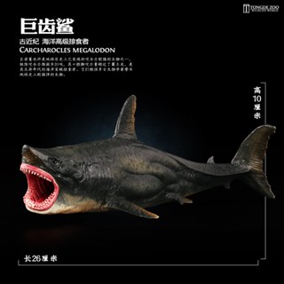 [ลดราคา] Megalodon โมเดลสัตว์ทะเลจําลอง ของเล่นสําหรับเด็ก