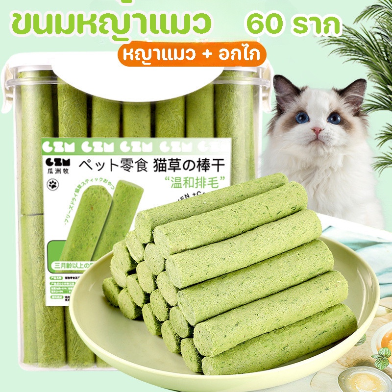 ขนมหญ้าแมว ผลิตจากต้นอ่อนข้าวสาลี100% ช่วยขัดฟัน เพื่อกำจัดก้อนขน 60 ราก บรรจุในถังปิดผนึก