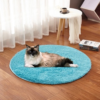 I Home Store Plush Four Seasons USB Charging Interface Pet Electric Blanket Heating Pad Mat for Small Dogs Cats