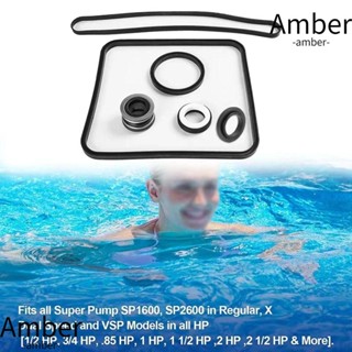 Amber ปะเก็นยางโอริงซีลปั้มน้ํา อุปกรณ์เสริม สําหรับสระว่ายน้ํา Hayward Super SP2600 1600 2600X