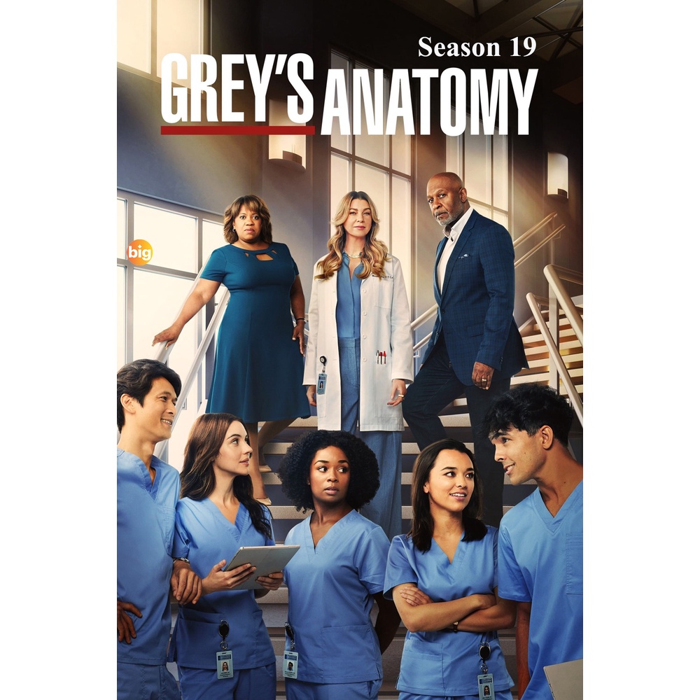 แผ่น DVD หนังใหม่ Grey s anatomy Season 19 (2022) แพทย์มือใหม่หัวใจเกินร้อย ปี 19 (20 ตอนจบ) (เสียง 