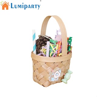 Lumiparty ตะกร้าให้อาหารนกแก้ว แบบแขวน หลากสี อุปกรณ์เสริม สําหรับนกแก้ว