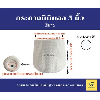 [Gardenmart] กระถางต้นไม้ กระถางเบลล่า กระถางมินิมอล สีขาว [ ขนาด 5 นิ้ว]