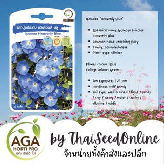 AGAPREMIUM ผักบุ้งฝรั่ง เฮเวนลี่ บลู 30เมล็ด ตราเอกะอะโกร Ipomea