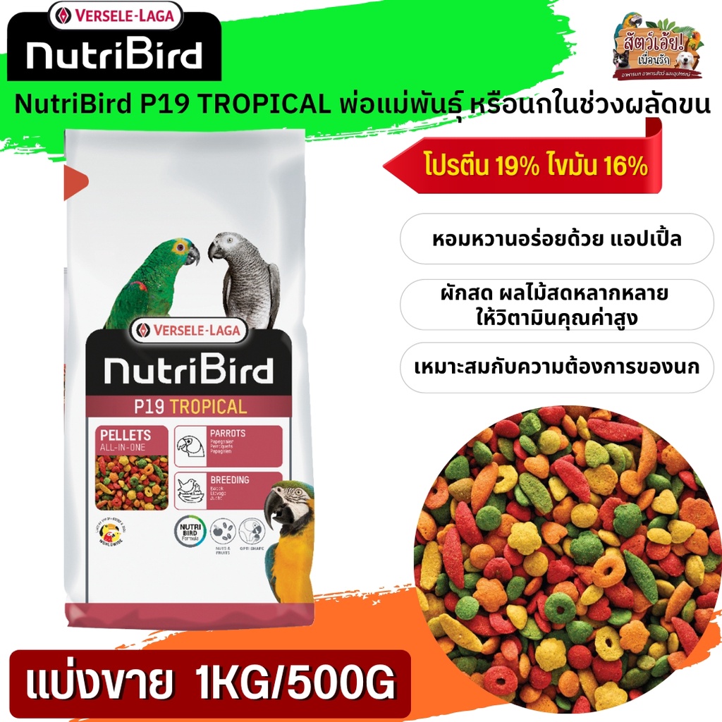 NutriBird P19 Tropical อาหารสำเร็จรูปอัดเม็ดสำหรับนกขนาดใหญ่ (แบ่งขาย 500G / 1KG) อาหารเพื่อสุขภาพ  