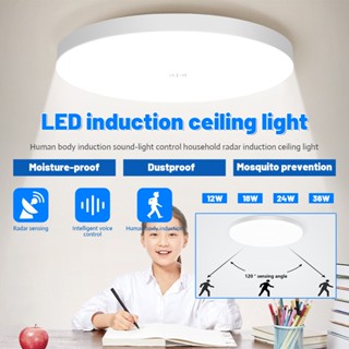 Radar Sensor โคมไฟเพดาน Led Auto Delay Motion Sensor Light Smart Home Lighting