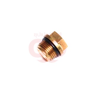 KARCHER (คาร์เชอร์) VALVE SCREW