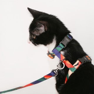 ชุดเชือกลากแมว สายรัดรูปตัว H เชือกจูงแมวเดิน ปลอกคอ Easy Control Training Cat Leash Set อุปกรณ์สำหรับแมวสัตว์เลี้ยง
