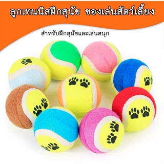 A068 ของเล่นสุนัข หมา ลูกเทนนิส โยนได้ไกล สำหรับสุนัขทุกสายพันธุ์