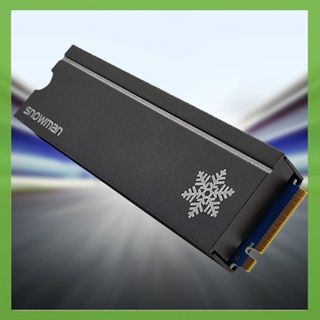 ฮีทซิงค์ระบายความร้อน M.2 2280 SSD พร้อมแผ่นความร้อน สําหรับ PS5