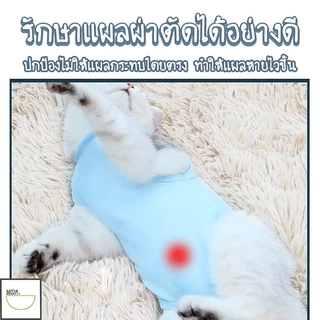 FurryCuddle พร้อมส่ง ชุดกันเลียแผล เสื้อแมว ชุดหลังผ่าตัดแมว ชุดสัตว์เลี้ยง เสื้อหลังทำหมัน ช่วยให้แผลหายไว MIP199
