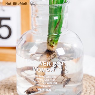 [NutriliteMelting1] แจกันกระถางต้นไม้ พลาสติก ไร้ดิน สําหรับตกแต่งบ้าน สวน โต๊ะ 1 ชิ้น [TH]