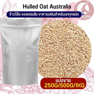 ข้าวโอ๊ต ออสเตรีย Oat Rice อาหารนก หนู ชูก้า และสัตว์ฟันแทะ มีประโยชน์ต่อสัตว์ (แบ่งขาย 250G/500G / 1KG)