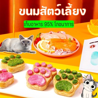 😻COD😻ขนมสัตว์เลี้ยง ขนมแมว ขนมขบเคี้ยวแช่แข็งแห้ง คุกกี้แมว 4 รสชาติ ป้องกันการกำจัดขนของลูกแมว