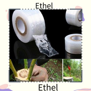 Ethel1 เทปใส 260 เมตร สําหรับปลูกต้นไม้