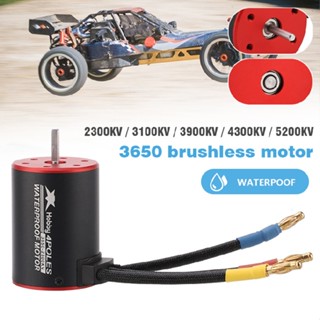 3650 2300KV/3100KV/3900KV/4300KV/5200KV Brushless Motor for 1/10 RC Car Boat