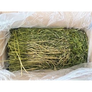 Alfalfa หญ้าอัลฟัลฟ่า อาหารกระต่าย สัตว์ฟันแทะ รวมกล่อง 1 กก. ไม่รวมกล่อง 750กรัม